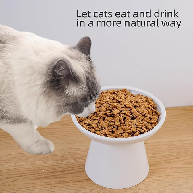 6.2 Inch Extra Wide Elevated Ceramic Cat Bowls, Food and Water Bowl Set for Elder Big Cats Small Dogs, Raised Design for Pet Easy Eating, Protect Cat's Spine Set of 4(White)