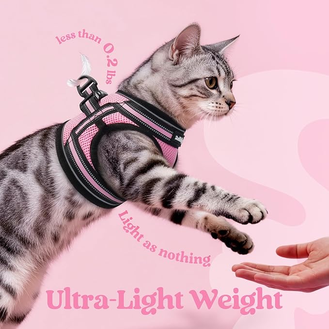 rabbitgoo Cat Harness and Leash Set for Walking Escape Proof, Adjustable Soft Kittens Vest with Reflective Strip for Cats, Comfortable Outdoor Vest, Pink, XL