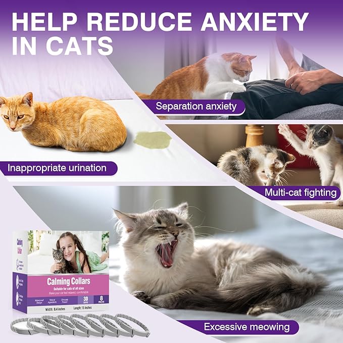 Tcllka Calming Collar for Cats 8 PK Cat Stress and Anxiety Relief Pheromone Collar for Cats Anti Aggression for Cats Cat Calming Collars Calming Collar for Cats
