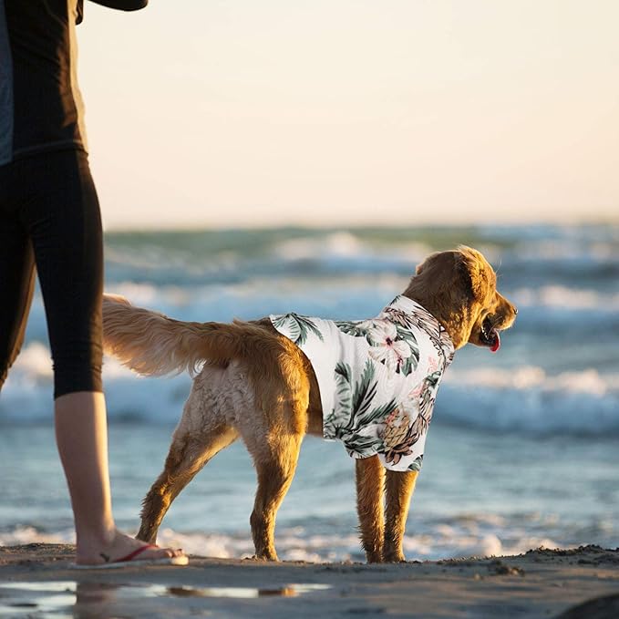 Weewooday 4 Pieces Small Pet Summer T-Shirts Hawaii Style Floral Pet Dog Shirt Breathable Cool Clothes Beach Seaside Puppy Sweatshirt for Puppy(Floral Style,Small)
