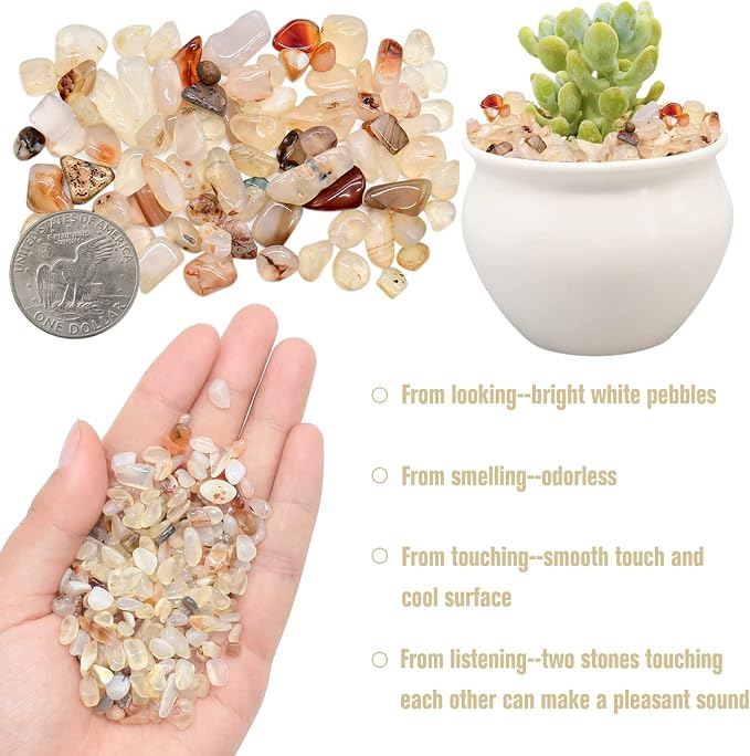 Halatool 1LB Aquarium Gravel, 0.27"-0.79" Crystal Pebbles for Fish & Plants | Polished, Safe, Landscaping Pebbles for Fish Tanks, Succulents, Plant Top Dressing, Fairy Gardens, Vase Filler, Home Decor
