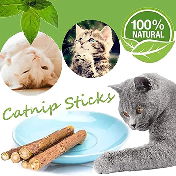 10 PCS Catnip Sticks Organic Cat Chew Toys Natural Plant Matatabi Silvervine Chew Sticks Teeth Cleaning Chew Toy Kitten Kitty
