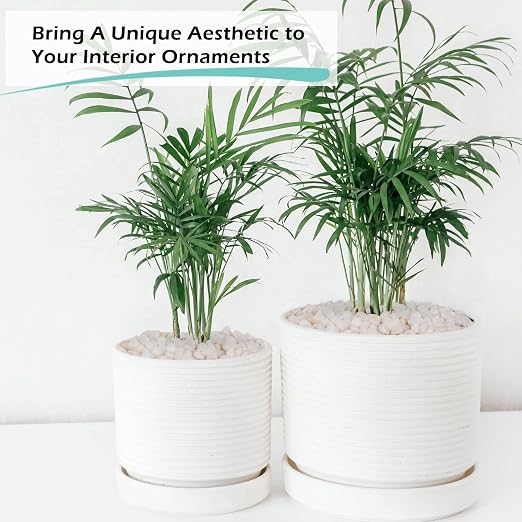 GASPRO 10 lb Highly Polished White Pebbles & Stones - 3/8" Small Decorative Rocks for Indoor Plants, Succulents, Vases, Terrariums & Home Decor