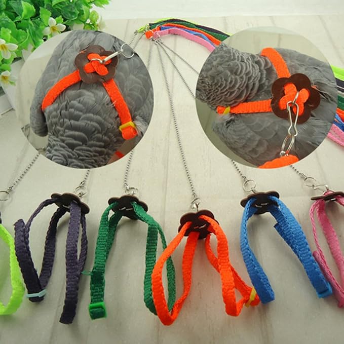 Adjustable Bird Harness Leash Parrot Flying Rope Straps Outdoor Training Traction Rope For Small Parrots Multi Colors Parrot Toys African Grey For Small Parrots For Large Birds Conure Macaw Parrot Set