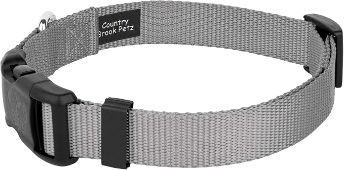 Country Brook Petz - Everyday Nylon Dog Collar and Leash - 10+ Cool Colors (3/8 Inch, 3XS, Silver)
