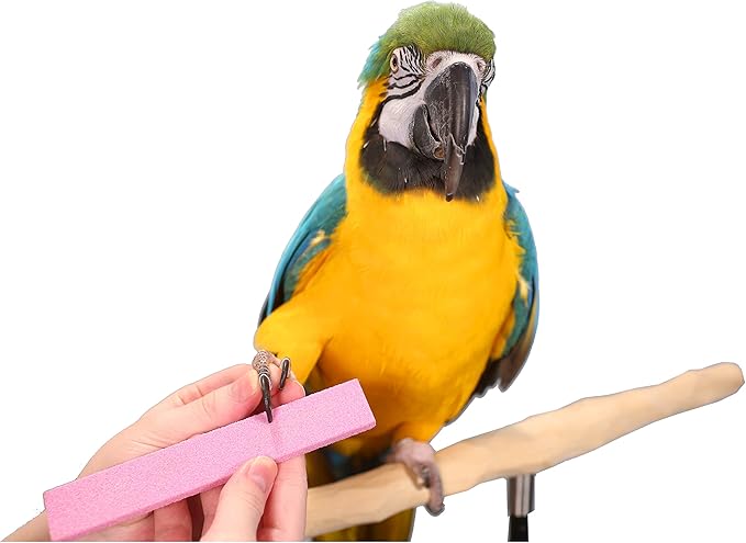 Parrot Nail Trimmer Stone for Grooming Parrot Claws