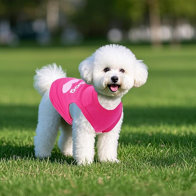 Pistha 4 Pack Dog Shirts Summer Printed Puppy Clothes Cute Sleeveless Pet T Shirts Dog Clothes for Small Medium Dogs Cats Girl(XS)