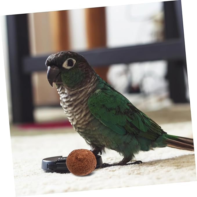5pcs Bird Beak Grinding Stone Mineral Block for Parakeets Parrots Essential Bird Cage Accessories for Healthy Beaks Improves Digestion Boosts Immunity