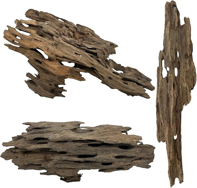 3 Pcs Natural Honeycomb Wood 8-12", Porous Aquarium Driftwood, Cholla Wood Shrimp Shelter Breeding Cave, Shrimp Dragon Wood for Fish Tank, Aquascaping, Reptile, Terrarium Decor