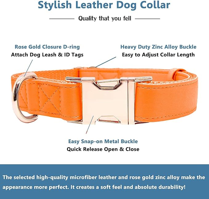 Soft Leather Dog Collar and Leash (6.6') Set - Stylish Rose Gold Heavy Duty Metal Buckle, 4 Adjustable Lengths Leash for Small Medium Large Dogs - Comfortable & Easy to Clean Orange XS(8"-12")