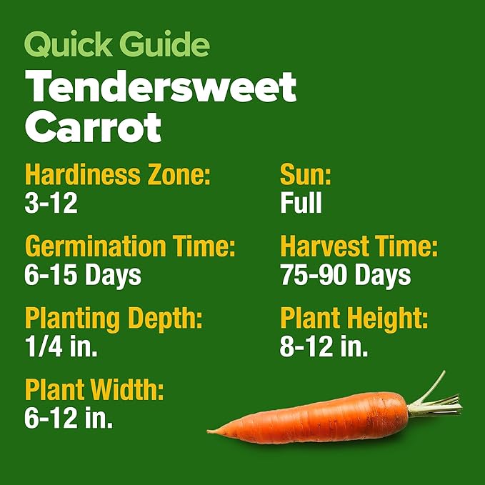 HOME GROWN Tendersweet Carrots Seeds 6000+ Heirloom Non-GMO Seeds for Planting, High Germination,Sweetest Coreless Root Vegetable,Crunchy Summer Garden,Great for Canning (Daucus carota subsp. sativus)