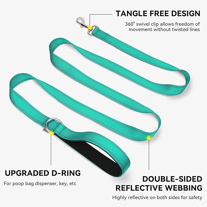 Joytale Dog Leash, 4 FT Double-Sided Reflective, Padded Handle Nylon Heavy Duty Leashes for Small Dogs Walking, Teal
