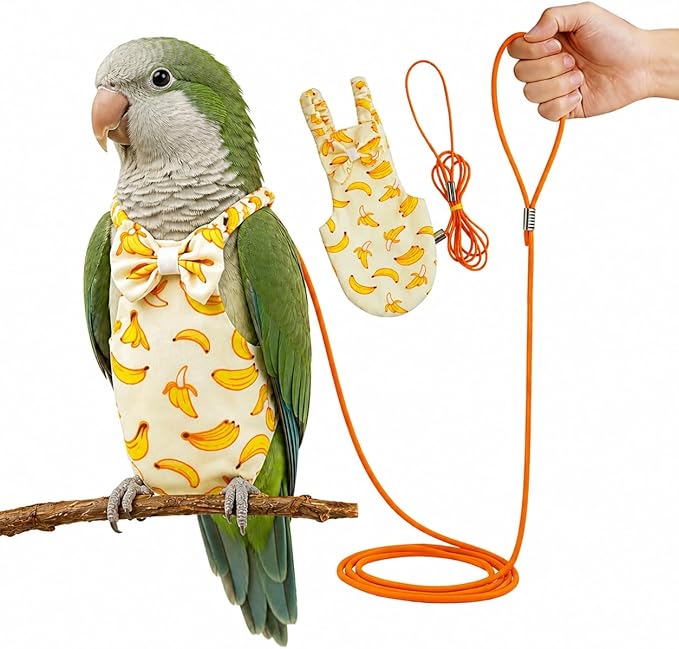 Bird Diaper and Leash Set with Harness, Monk Parakeet/Caique/Senegal Parrot Diapers with Harness, Pet Bird Flight Suit Set for Outdoor Flying & Training (L)