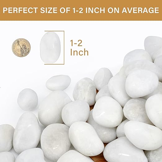 NUPICK 6lb White River Rocks for Plants Indoor, 1-2Inch Pebbles for Vases Fillers, Decorative Gravel for Fish Tank, Natural Polished Stones for Succulent, Bonsai, Landscaping, Bird Baths