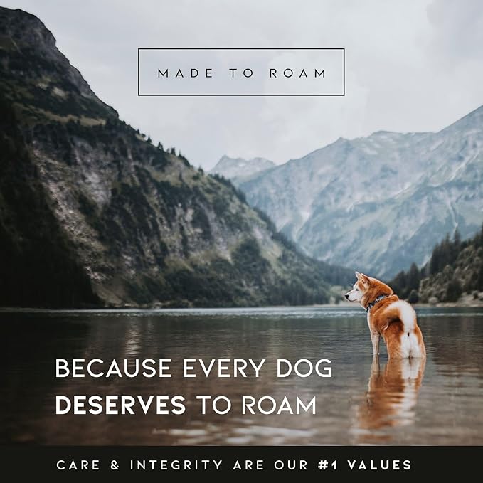 Made to ROAM Premium Dog Collar - Adjustable Heavy Duty Nylon Collar with Quick-Release Metal Buckle (New York Afterlight, Classic Size 4)