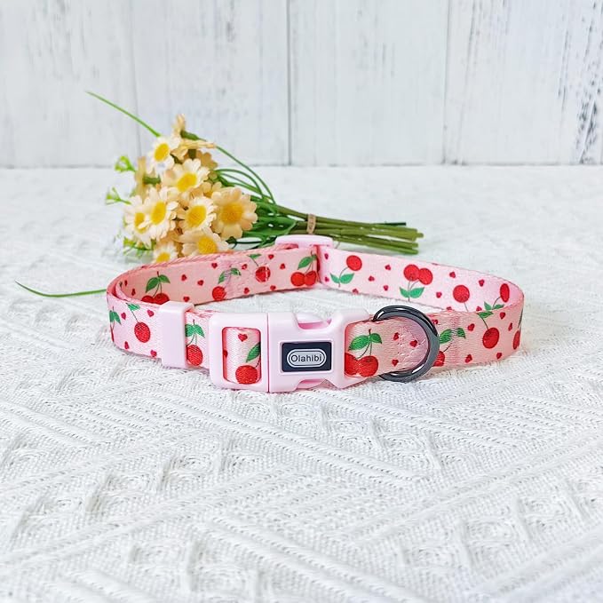 Dog Collar Leash Set, Fruit Pattern, Polyester Material, Adjustable Collar and 5ft Matching Leash, for Medium Dogs.(M, Pink Cherry)