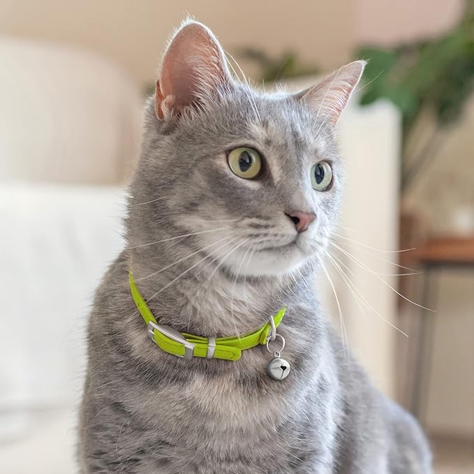 CollarDirect Leather Cat Collar with Removable Bell – Safety Elastic Strap (Breakaway Alternative) – Kitten Collar for Small & Big Boy & Girl Cats