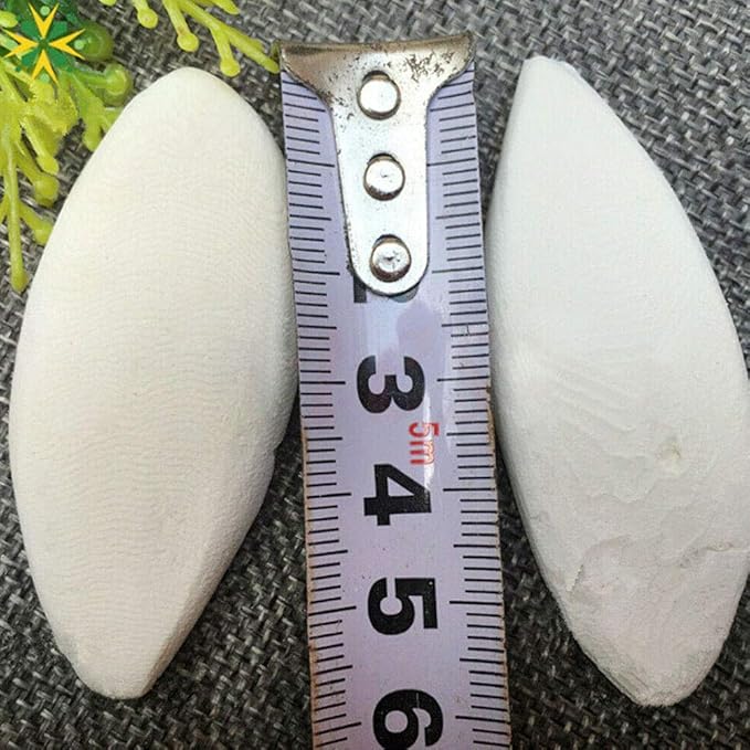 Acxico 10 pcs Cuttlefish Bones Pet Molars, Cuttlefish Bones, 8-10cm
