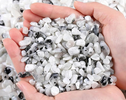 QINJIEJIE 0.9Lbs Grey Labradorite Rocks for Plant Bulk Decorative Sand Aquarium Gravel Stones Terrarium Small Turtle Rocks Vase Pebbles Filler Crystal Chips Fish Tank Decor for Planter