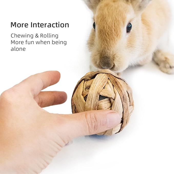 Niteangel Natural Chew Activity Toys Fun Safe Hay Grass Pet Balls for Chinchilla Guinea Pig Rats Rabbits Hamster Gerbil Degu Bunny and Other Small Animals