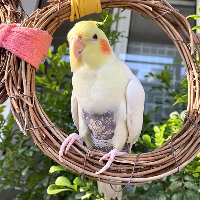 Bird Flight Suits Diapers, Parrot Flight Suits Diapers for Quaker Parakeets Cockatiels Conures Macaw African Grey, Bird Diaper, Parrot Clothes (Blue,M)
