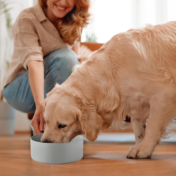 Ceramic Set of 2 Dog Bowls - Classic Dogs Food & Water Bowl for Small and Medium Breed, Heavy-Duty Non-Slip Dog Dishes, Food Grade Pet Bowl, Dishwasher & Microwave Safe (6'', 2 * 30OZ, Grey)