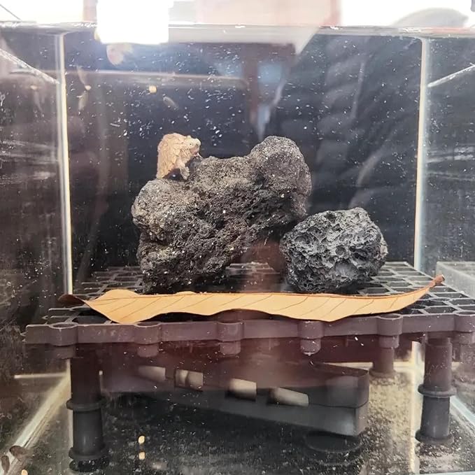 Tfwadmx 10 Pcs Aquarium Black Lava Rock Fish Tank Volcanic Pumice Stones for Betta Fish Shrimp (1.96''-3.14'')