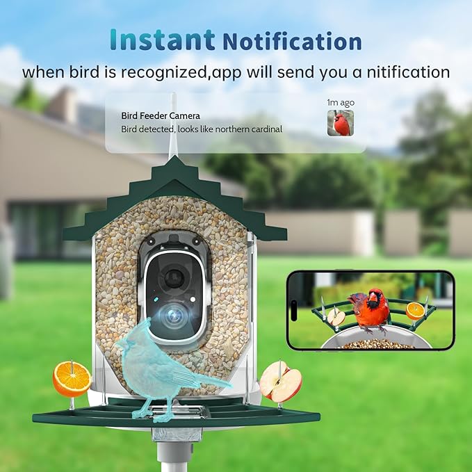 Smart Bird Feeder with Camera Solar Powered & AI Bi rd Identification, 2.4Ghz WiFi Bird feeders for Outdoors, 2K Live Video, Instant Arrival Alerts - Best Gifts for Bi rd Lovers - Green