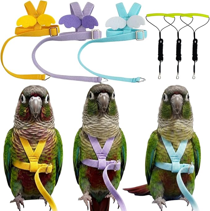 3 Pack Adjustable Bird Harness with Elastic Leash, Pet Parrot Harness and Leash, Adjustable Training Design Anti-Bite, Bird Nylon Rope with Cute Wing for Conure African Grey (M)