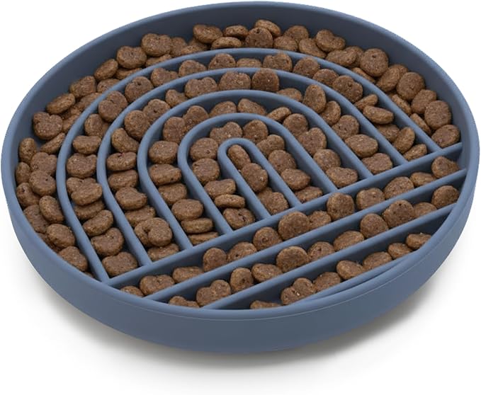 Should We Go? Slow Feeder for Dogs & Puppies, The Slowdown Bowl Silicone Slow Eating, Modern Lick Mat Design, Reduces Gulping, Fits 2.5 Cups, 9.5” Across x 1.5” Tall, Mealtime Challenge, Large-Ocean