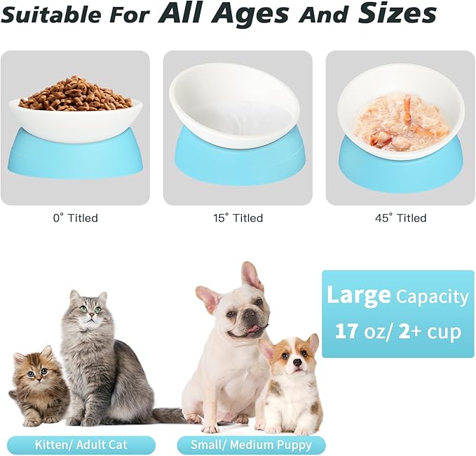 Elevated Cat Bowl, Adjustable Raised Slanted Food Bowl for Cats and Small Dogs, Wide Shallow PP Dish with TPR Non Slip Base, Whisker Friendly, 17 oz