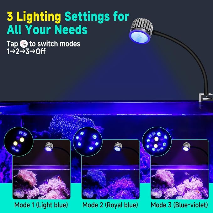 fishkeeper Saltwater Aquarium Light for 5-10 Gallon, 24/7 Reef LED Light | Adjustable Color/Brightness/Timer, 8W Clip On Aquarium Light for Coral Marine Tank, Memory Function
