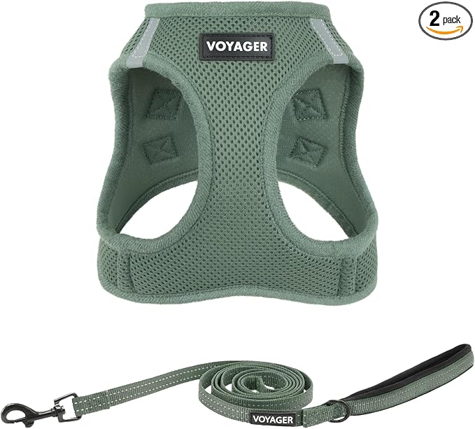 Best Pet Supplies Voyager Step-in Air All Weather Mesh Harness and Reflective Dog 5ft Leash Combo with Neoprene Handle, for Small, Medium and Large Breed Puppies - Moss Green, XXS
