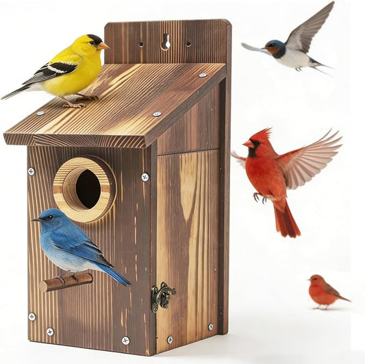 Natural Wood Birdhouse for Outside, Wooden Nesting Box with Circular Entrance Hole and Perch， Blue Bird Houses for Outdoors with Clear View Panel & Predator Guard for Blue Robin, Wren, Swallow
