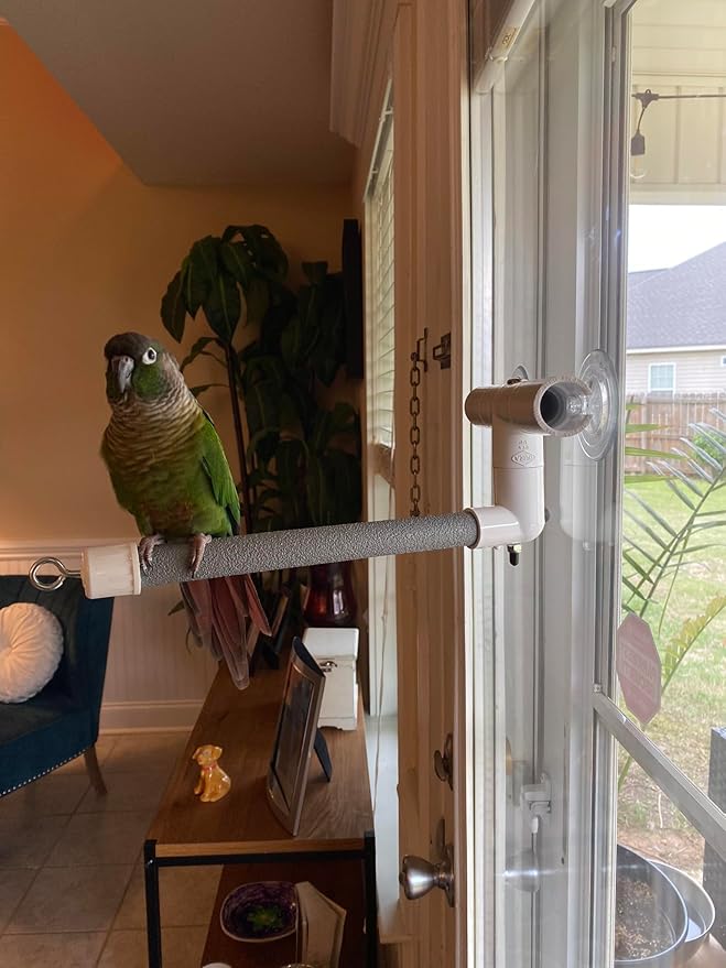 Polly's Portable Window-Shower Perch with Suction Cups for Cockatiels, Macaws, African Greys (Deluxe, Small)
