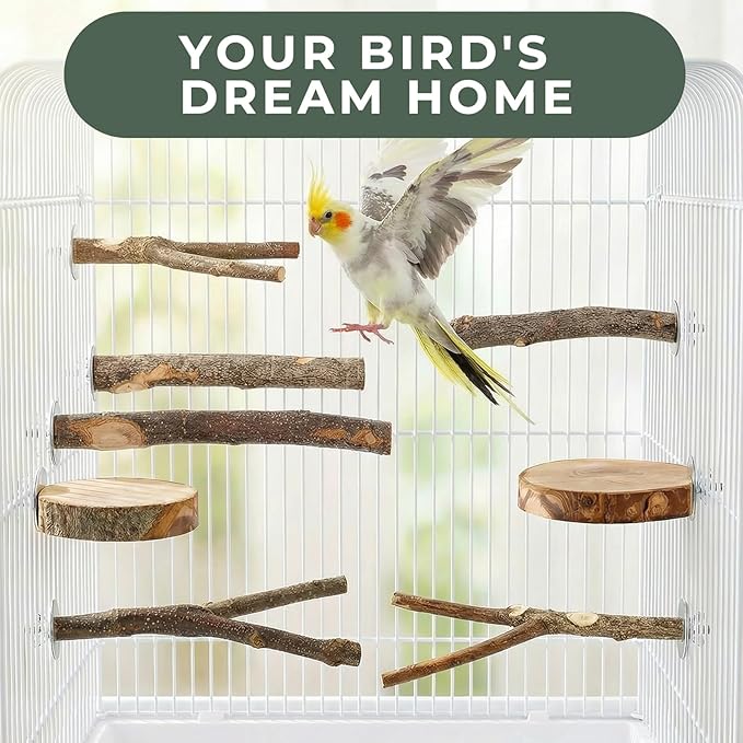 12 Pcs Natural Bird Perches and Shreddable Parakeet Toys, Essential Parrot Cage Accessories with 8 Wood Standsand 4 Shreddable Parakeet Toys, Foraging Shredder and Bird Accessories for Cages