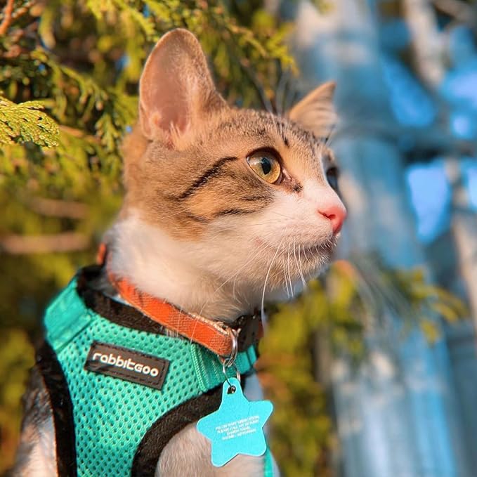 rabbitgoo Cat Harness and Leash for Walking, Escape Proof Soft Adjustable Vest Harnesses for Cats, Easy Control Breathable Reflective Strips Jacket, Emerald, S