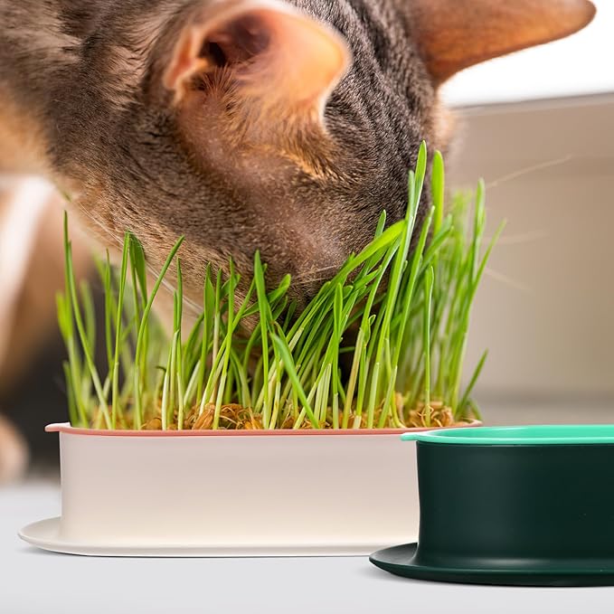 SUPVOX 3pcs Hydroponic Cat Grass Planter Kit, Soilless Wheatgrass Growing Trays for Indoor Cats, Practical Nursery Planters with No Seeds Included