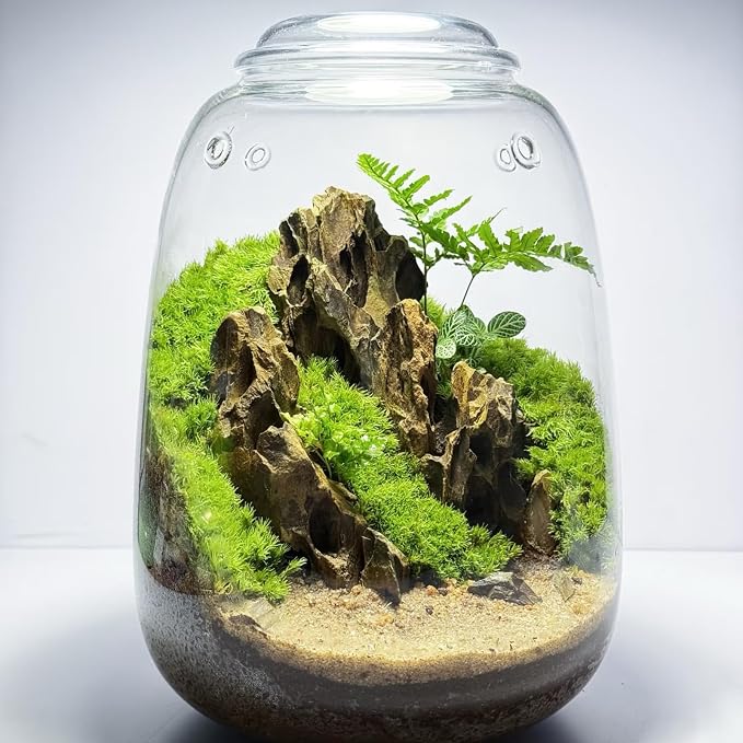 Natural Rocks Dragon Stone 1-2.5 Inches Decorative Rocks for Miniature Terrariums,Fairy Gardens,Bonsai,DIY Crafts, Aquariums Dioramas & Wargaming-1lb