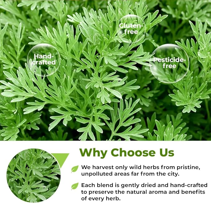 4 oz. Wormwood Tea Wormwood Herb Dried Herb Tea (Artemisia Absinthium) - 113g Dry Wood Worm Artemisiae Absinthii Herba Artemisa Ajenjo Hierba