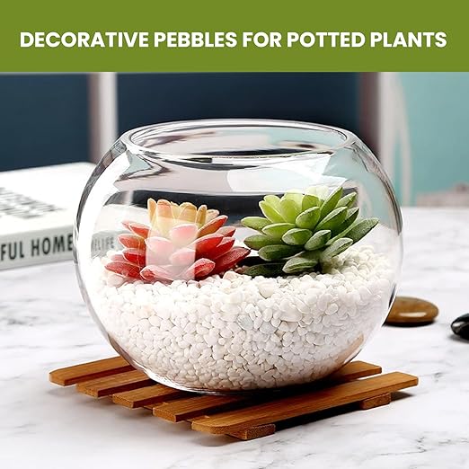 3/8 Inch Polished Decorative Pebbles, River Rocks for Indoor Plants, Succulents, Planters, Vases, Fish Tank, Aquarium Gravel & Landscaping, Snow White, 12LB