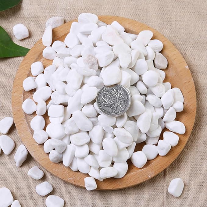1 Lb/460g White Stones Decorative Pebble Rock Sand for Aquarium/Fish Turtle Tank/Vase Filler/Succulent Plants Decoration (Fill 1 Cup)