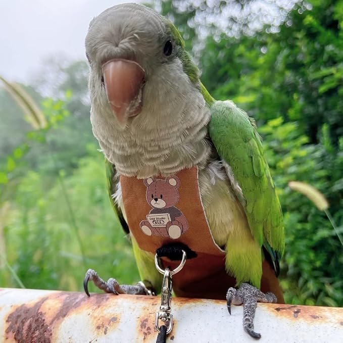 Bird Diaper Harness Flight Suit Clothes, Parrot Flight Suit with Leash for Parrot, Bird Flying Clothes with Rope and Handle for Outdoor Activities Training (Lovebird,with Leash)
