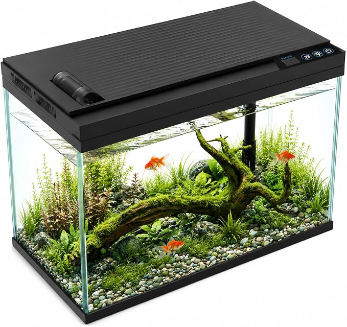 5 Gallon Fish Tank with Auto Feeder, Aquarium Starter Kit with Self Cleaning Filter, Crystal-Clear Glass, 8-Color LED Light, 5-Minute Setup, Vacation-Ready Betta & Goldfish Tank for Desk & Office