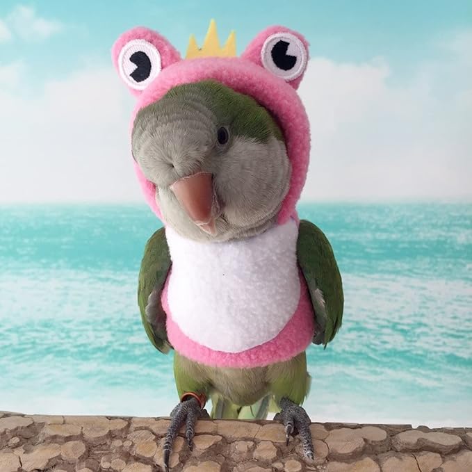Bird Costume Diaper Flight Suit Frog Shape Hoodie Clothes Cosplay Photo Prop for Parrots Parakeet Cockatiel Sun Conure, Small Animals Apparel (Pink Without Diaper, Small), Green