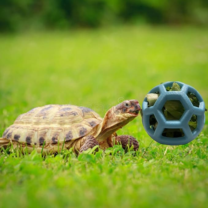 4 Individual Tortoise Treat Ball Tortoise Toy Turtle Hanging Feeding Ball Small Animals Turtle Vegeta ble Grass Tortoise Accessories