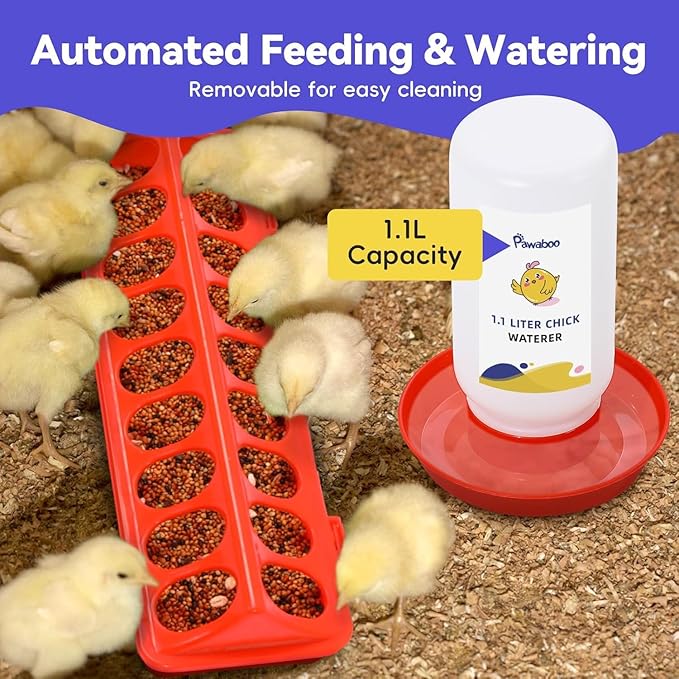 Pawaboo Chick Brooder Box for Chick Starter Kit, Brooder Pen/Chicken Supplies Brooders Box with Chicks Perch Brooding Up to 15 Chicks, Duck and Quail, Green + Red + Wood Color