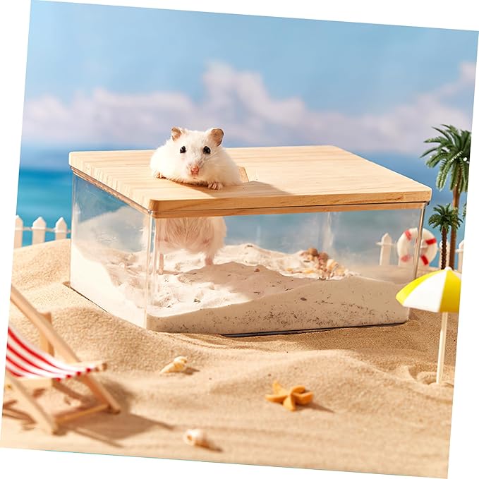 BESPORTBLE Hamster Sand Bath Box Transparent Acrylic Chinchilla Dust Bath Pet Supplies Easy to