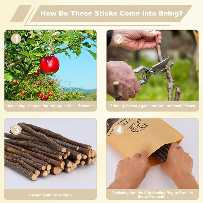 500g Apple Sticks Small Animals Molar Wood Treats Chew Toys for Rabbits Chinchillas Guinea Pig Hamster Gerbil Parrot Bunny Chews Stick Toys