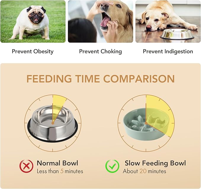 Havniva Ceramic 1.2 Cup Raised Slow Feeder Dog Bowl Set, Elevated 6.1inch Bowl and 7.3inch Slow Pet Food Dish with Wooden Stand for Small and Medium Dog (2 x Light Green+ Stand)